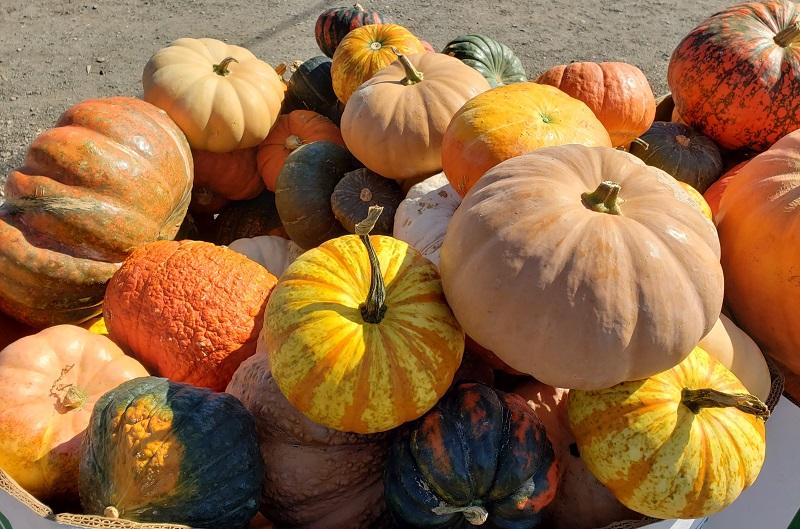 fall